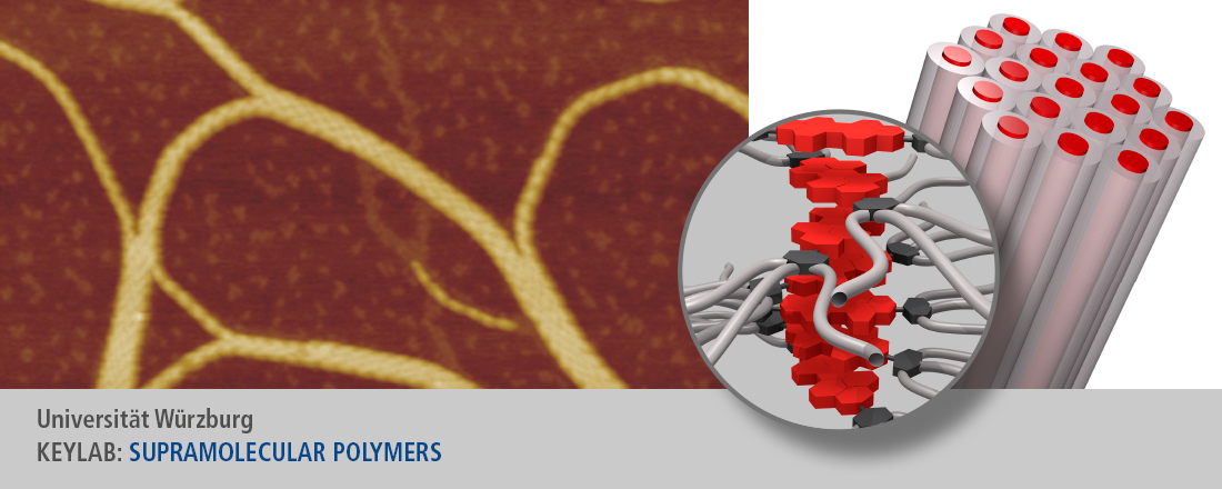 Slider für KeyLab Supramolecular Polymers